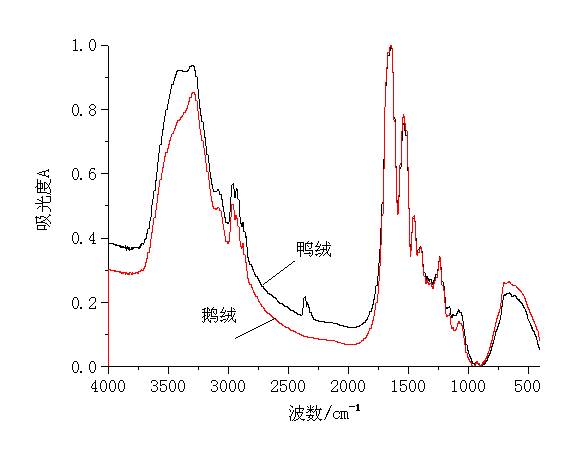 鹅、鸭羽毛羽绒结构特征研究