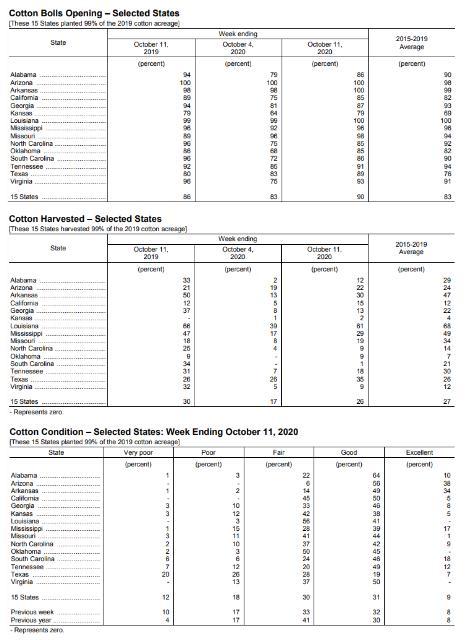 美国棉花生产报告：美棉优良率为40%